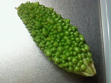 小ぶりのゴーヤ。