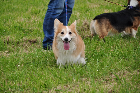 DSC_8303