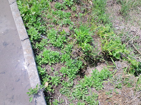 CA3C0025