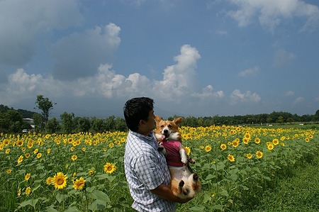 DSC02048