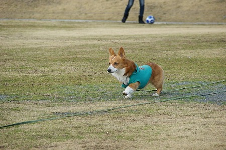 DSC08195