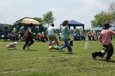 DSC01179