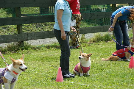 DSC01191