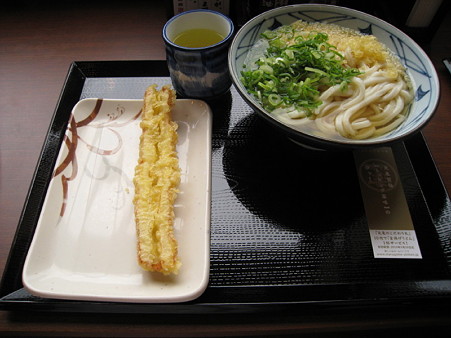 丸亀製麺所　かけうどん（大）380円