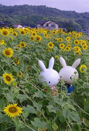 IMGP8606_0723