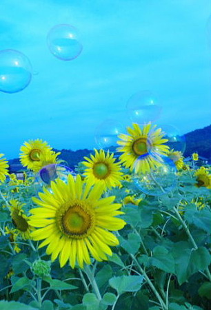 IMGP9445_0724