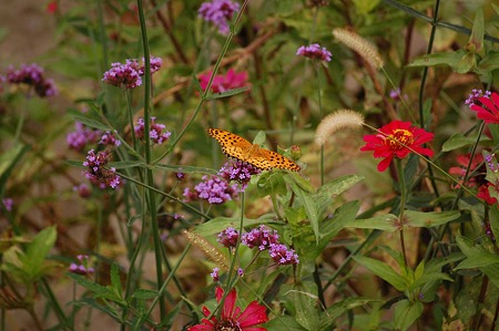 DSC_4541d4L