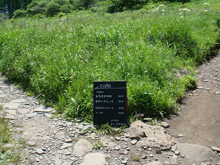 わかれ道@八島湿原