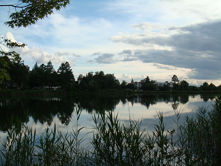 蓼科湖