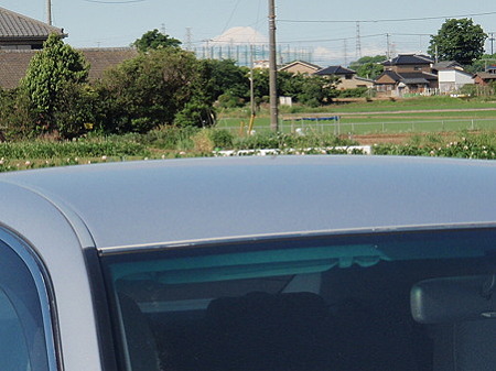39282320.v1275000163gsr184a