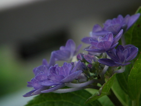 DSCF0047