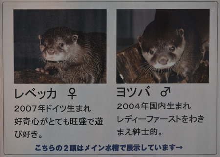 notojima100826827
