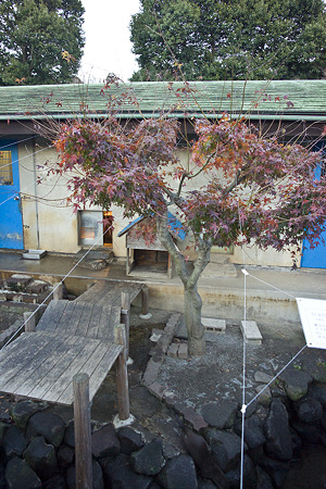 ichikawa101205766