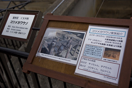 ichikawa110220573