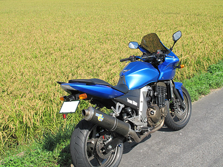 黄金とZ(3) 黄金とZ(3)