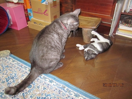 IMG_0128jl
