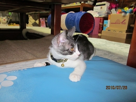 IMG_1231jl