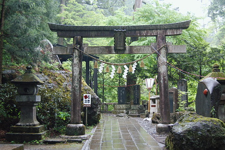 2010年05月23日_DSC_1829