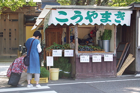 2010年08月15日_DSC_0330