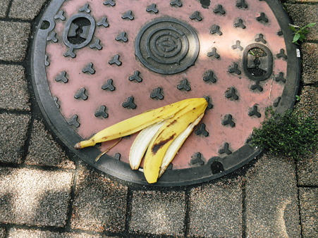 2011年05月14日_P5140502