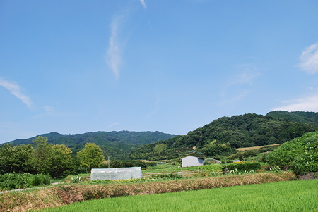 DSC_0661 DSC_0661