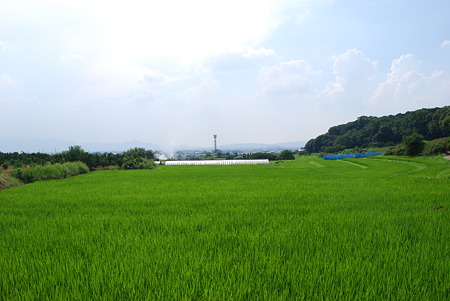 DSC_0664 DSC_0664