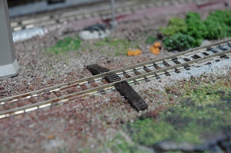 IMGP5640