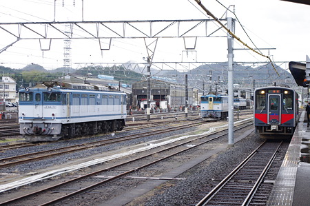 IMGP7273