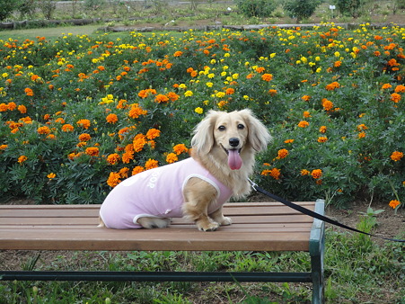 花の都公園！(2)
