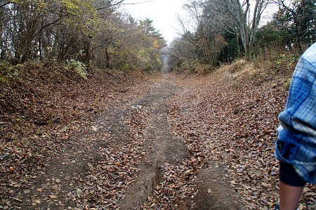 画像 049