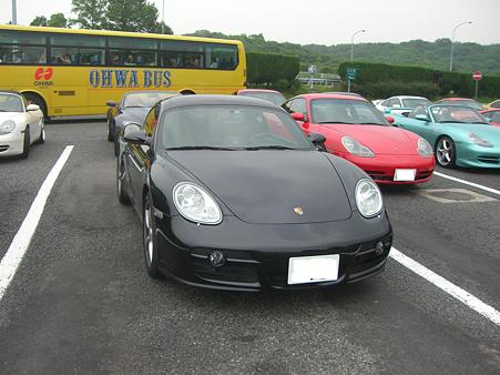 黒ケイマン