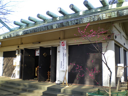 IMGP3969