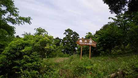 IMGP4808