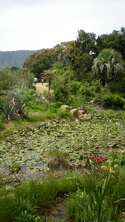 IMGP4821