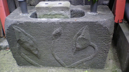IMGP5383