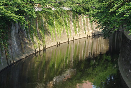 IMGP9496