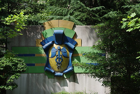 IMGP0731