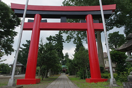 IMGP2290
