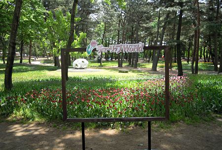 DSCN2791