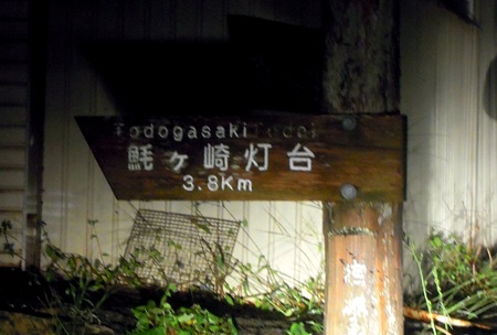 DSCN4369