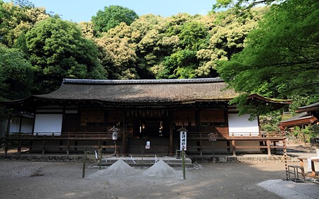 宇治上神社14