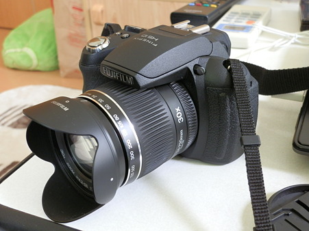 P9040024