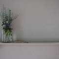 The Wildflowers on the Sill