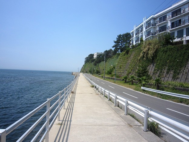 日間賀島