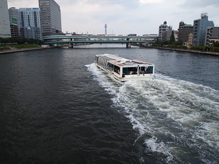 P8182295