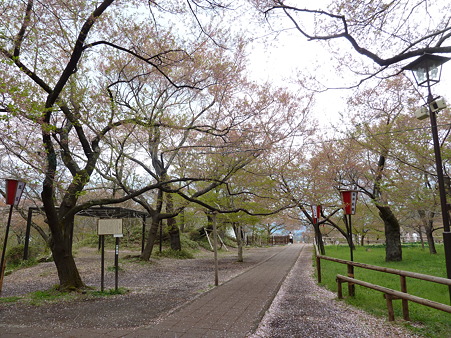 2011甲信 018