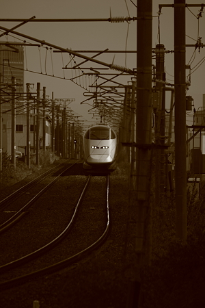 迫ってくるつばさ