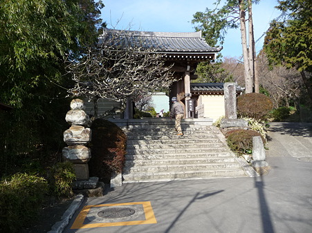 110225-浄明寺 (1)