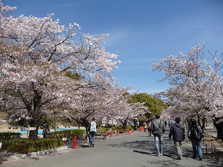 110417-姫路城 (16)
