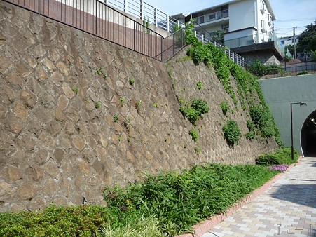 110622-東横廃線 反町→横浜 (36)